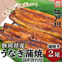 [送料込] 静岡県産うなぎ蒲焼き詰め合わせ (2尾)【江戸川】