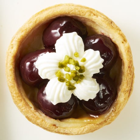 [送料込]フラワーキッシュ「サマーセット」(4種)【FlowerQuiche】