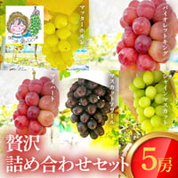 [送料込]8月下旬発送開始！贅沢ぶどう詰め合わせセット(5種計5房)【あさつゆ 愛のぶどう園】