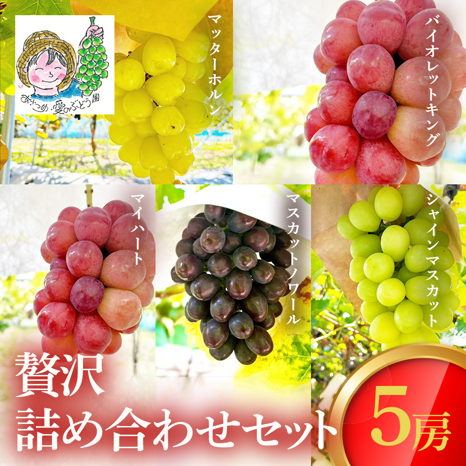内田真礼詰め合わせセット 六角形の安定と調和、永く続くという想いをこめて」取皿・中鉢