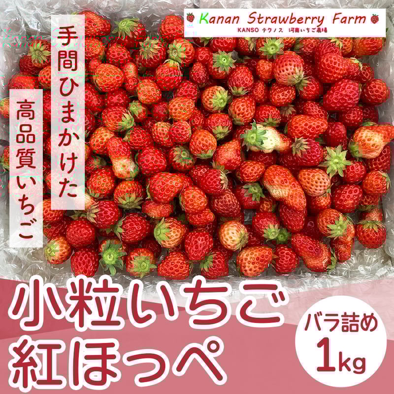 極小粒 6kg 紅ほっぺ いちご 〜農家直送〜 極小粒 6kg 紅ほっぺ いちご 〜農家直送〜