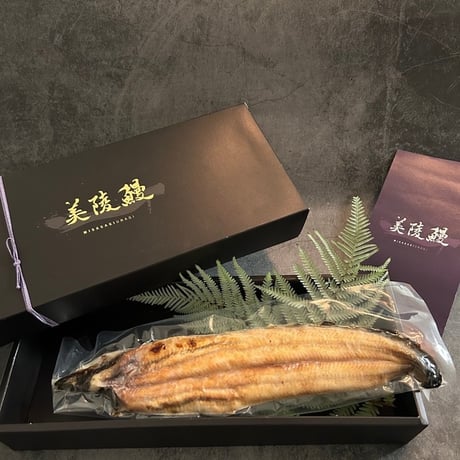 [送料込] <大阪産>鰻本来の味美陵鰻白焼き 有頭 腹開き (3尾)【れいわ水産】