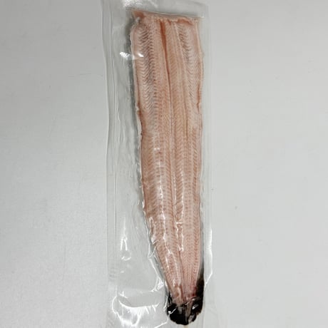 [送料込] <大阪産>鰻本来の味アレンジ無限大の生ウナギ (1尾)【れいわ水産】
