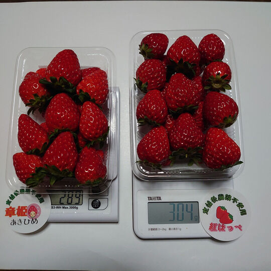 送料込]紅ほっぺ・章姫-あきひめ-食べ比べセット(1箱 2パック)【みさを