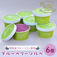 [送料込]熊取産ブルーベリー使用「Nido GELATO」ブルーベリーソルベ(6個)【Humming Fields】