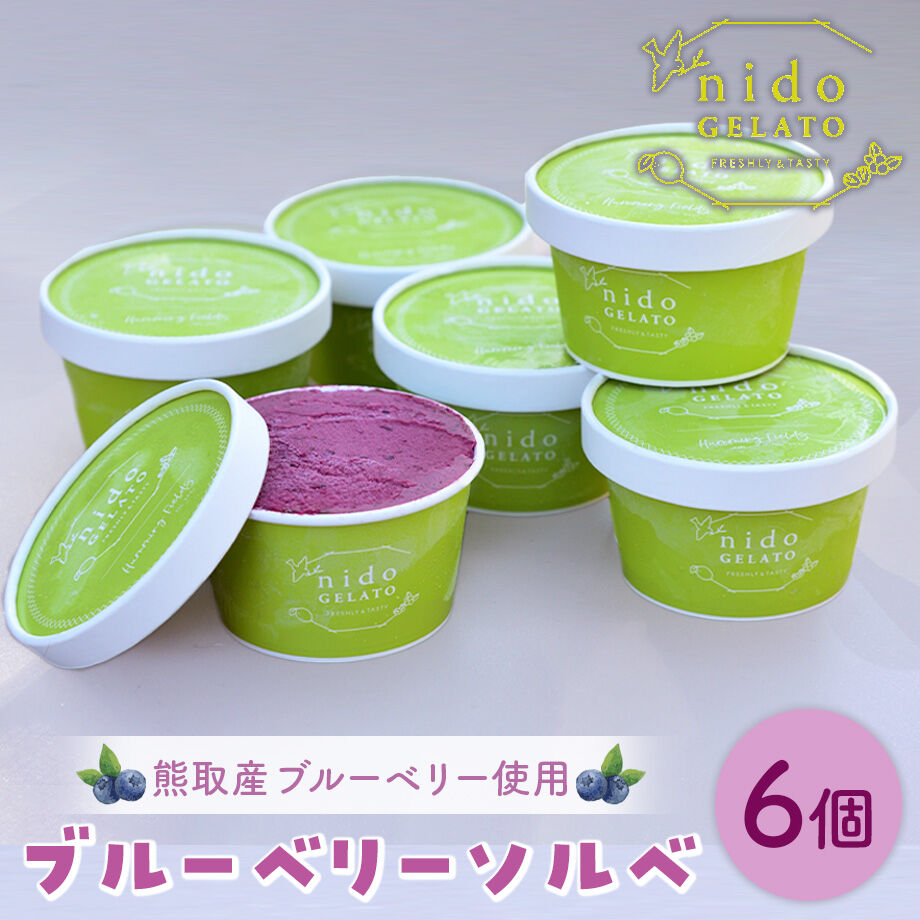 送料込]熊取産ブルーベリー使用「Nido GELATO」ブルーベリーソルベ(6個