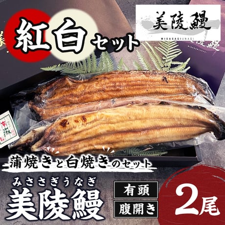 [送料込] <大阪産>美陵鰻紅白セット 腹開き (蒲焼き1尾・白焼き1尾　計2尾)【れいわ水産】