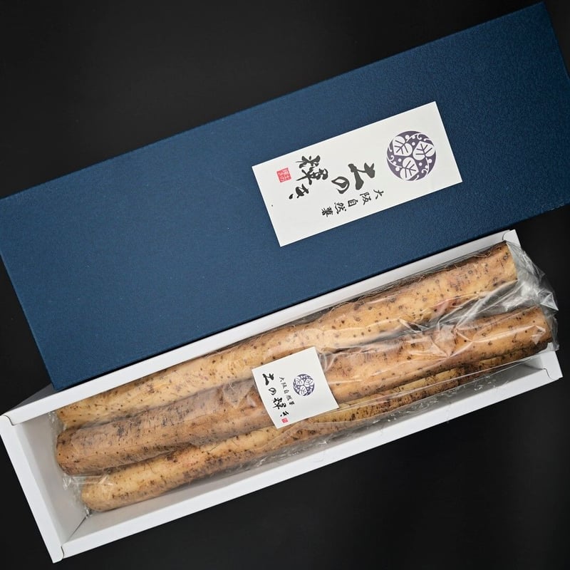 送料込]大阪自然薯「土の輝き」紫紺の箱入り 大阪府熊取町産自然薯
