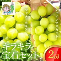[送料込]8月下旬発送開始！キラキラ宝石セット (マッターホルン・シャインマスカット 2房)【あさつゆ 愛のぶどう園】