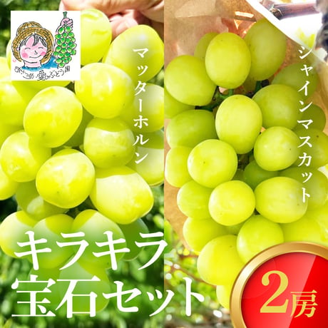 [送料込]8月下旬発送開始！キラキラ宝石セット (マッターホルン・シャインマスカット 2房)【あさつゆ 愛のぶどう園】