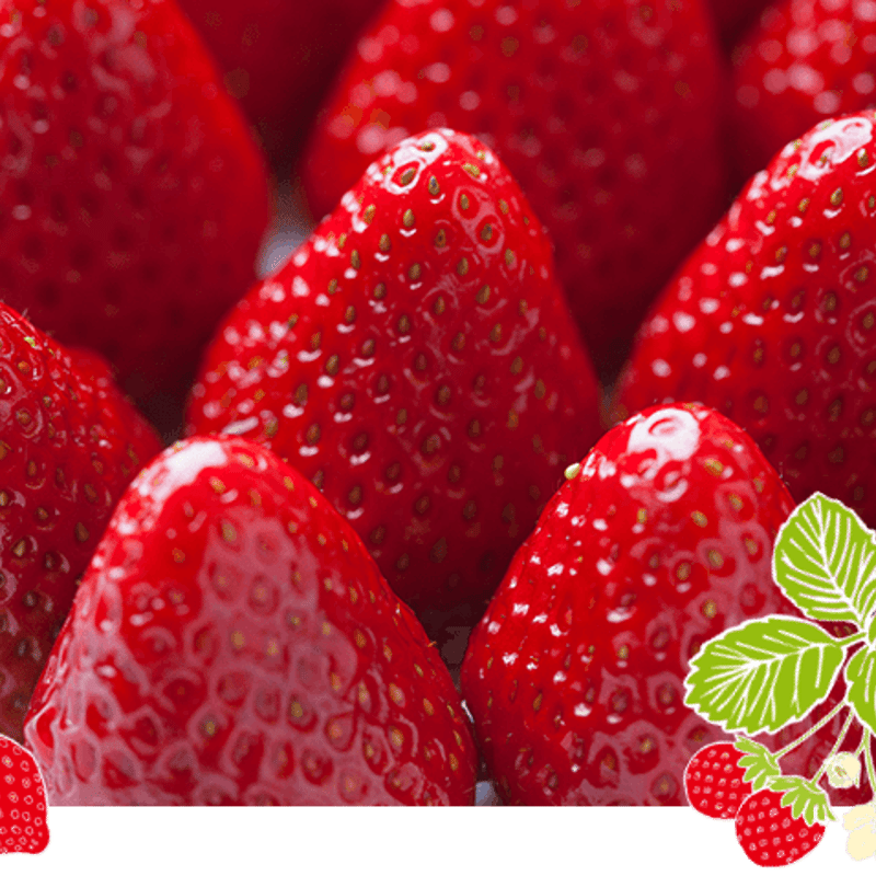 送料込]紅ほっぺ・章姫-あきひめ-食べ比べセット(1箱 2パック)【みさを