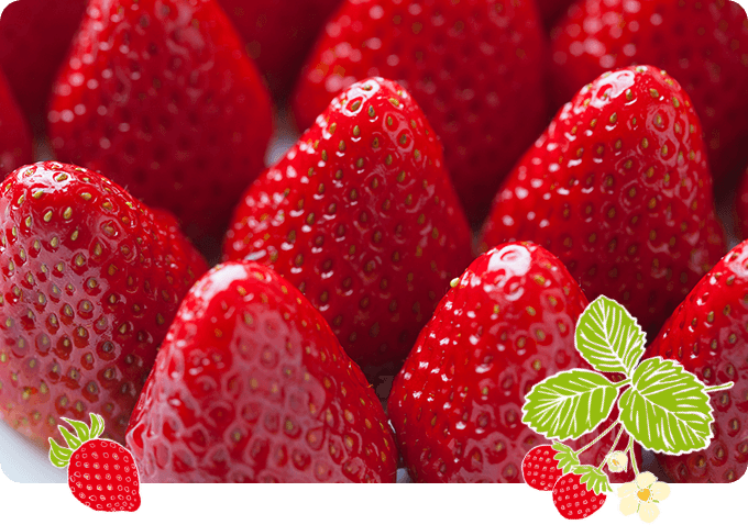 送料込]紅ほっぺ・章姫-あきひめ-食べ比べセット(1箱 2パック)【みさを