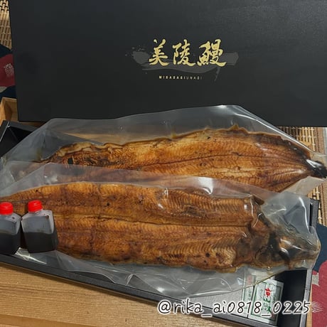 [送料込] <大阪産>パリッと香ばしい美陵鰻 有頭 腹開き(関西焼き) (2尾)【れいわ水産】