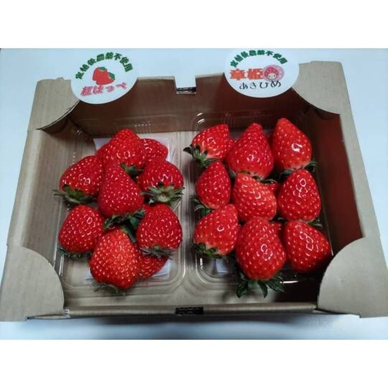 送料込]紅ほっぺ・章姫-あきひめ-食べ比べセット(1箱 2パック)【みさを