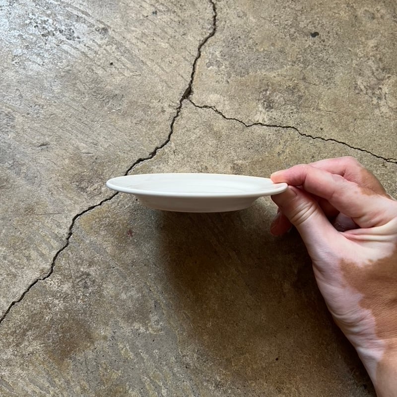 大同 丸皿12.5cm | QQ実験所