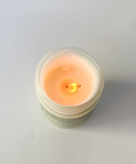 JUNIPER RIDGE CANDLE / Coastal pine