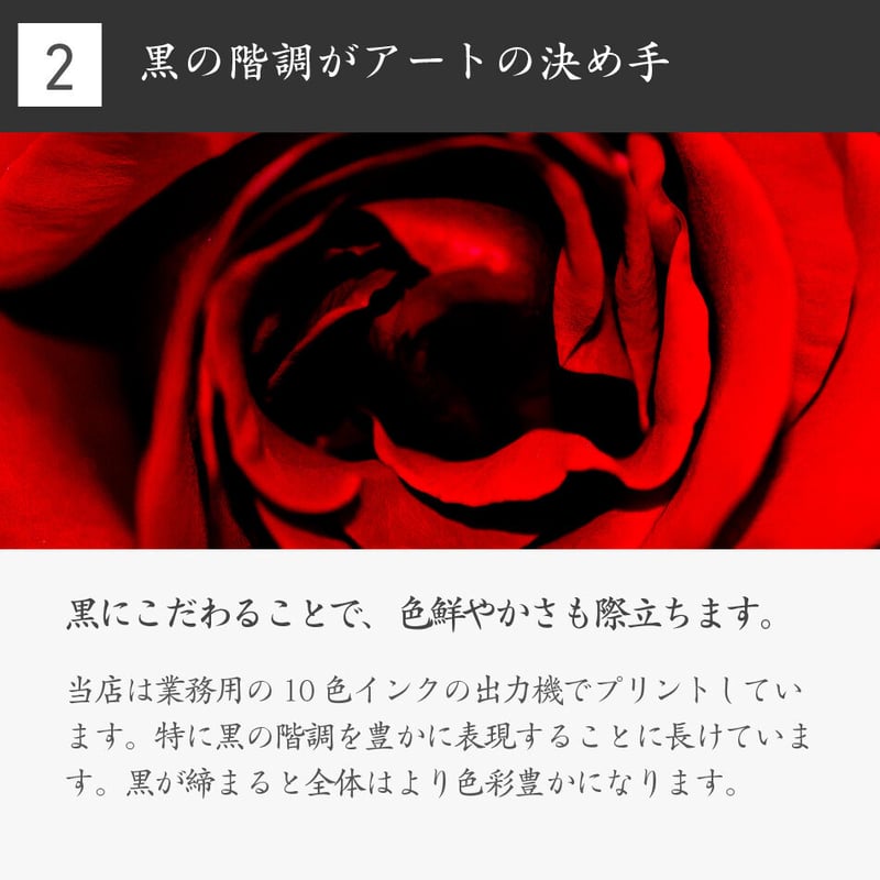 AP-009 アートポスター モダン 侘び寂び わび さび 苔 こけ おしゃれ AP-009 アートポスター モダン 侘び寂び わび さび 苔 こけ おしゃれ