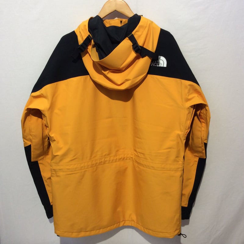 THE NORTH FACE 1994 Retro Mountain Light Future