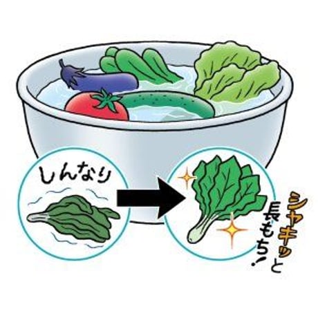 飲料用パイ化セラミック	ハーモニー2ピース(3リットル用)美味しい水生活、始めませんか?