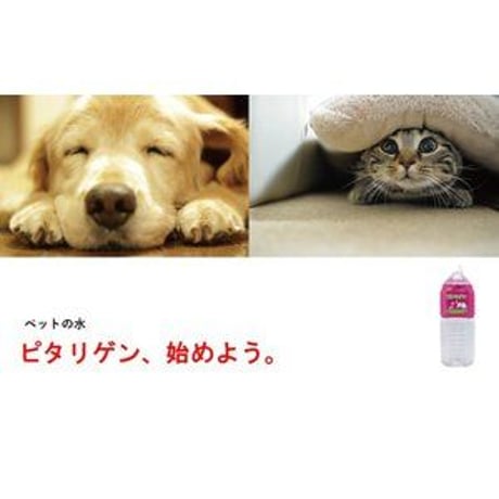 ペットの水・ピタリゲン(2.0L×6本)ペットにはペット用の水を !ピタリゲン、はじめよう。