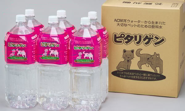 パイウォーターの専門店パイネット パイウォーターの専門店パイネット