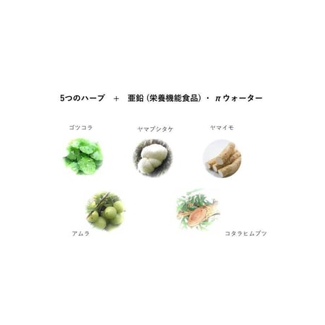 【定期購入2ヶ月ごと】antia (アンティエ) 3本セット 　健康サプリ【栄養機能食品】