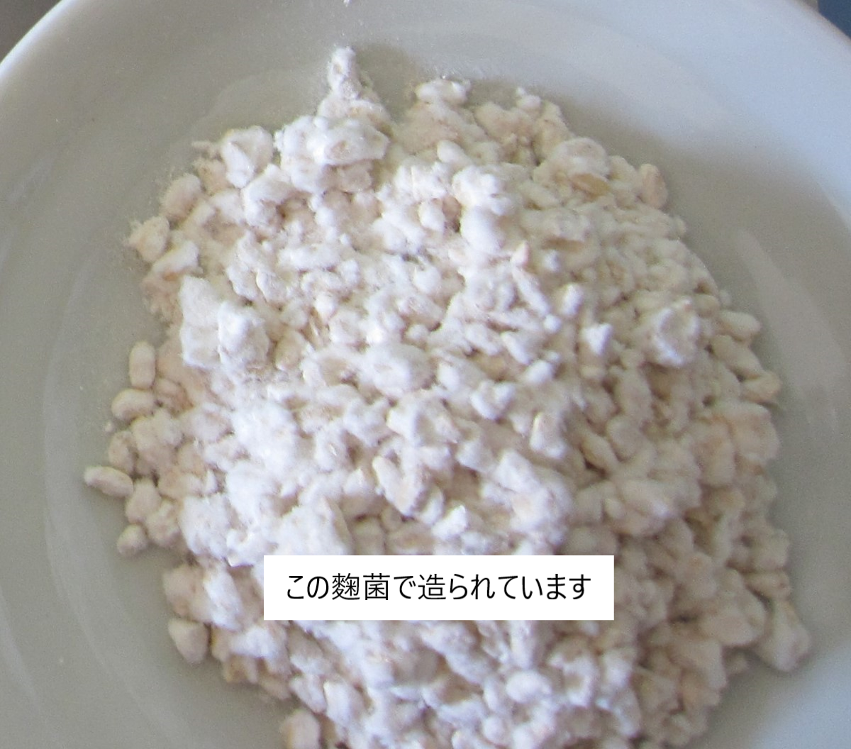 米麹 有機玄米甘酒】【手土産やプレゼントに】【贈答用】Bioene 300ml