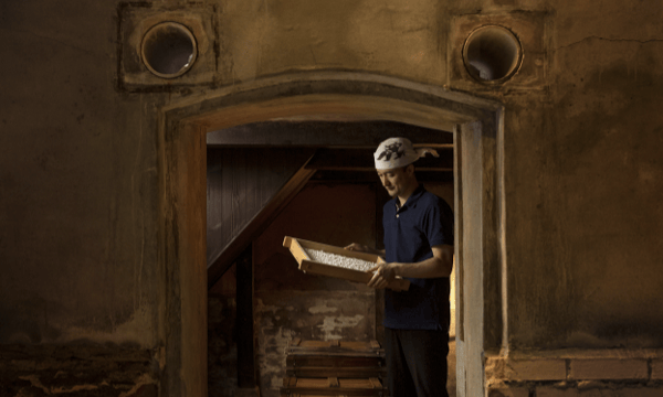 菱六もやし official online store