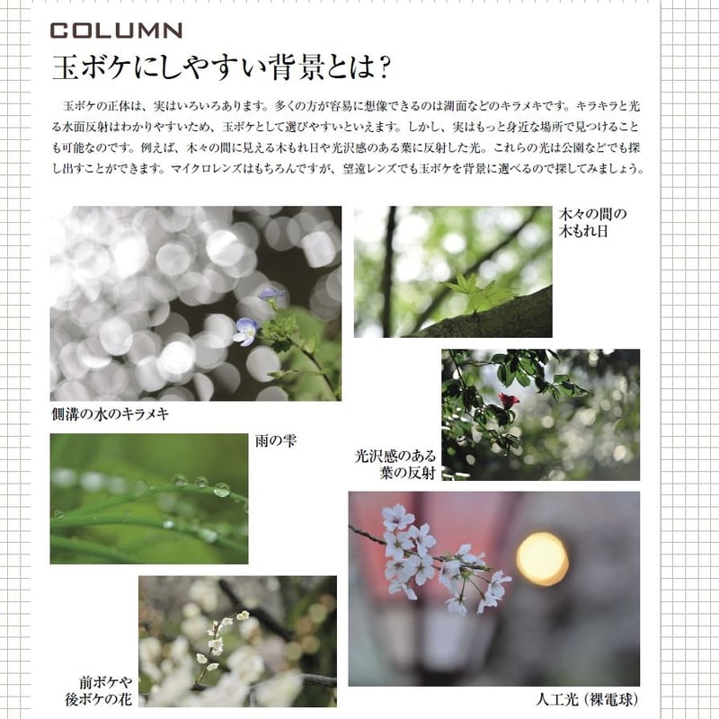 ムック】世界一わかりやすいデジタル一眼レフカメラと写真の教科書