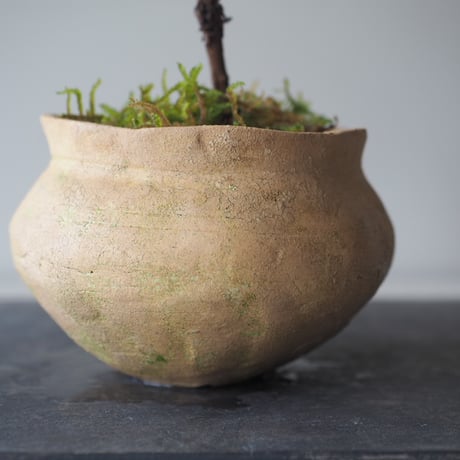 山葡萄(ヤマブドウ)　サイズ：Ｗ18cm×Ｈ30cm