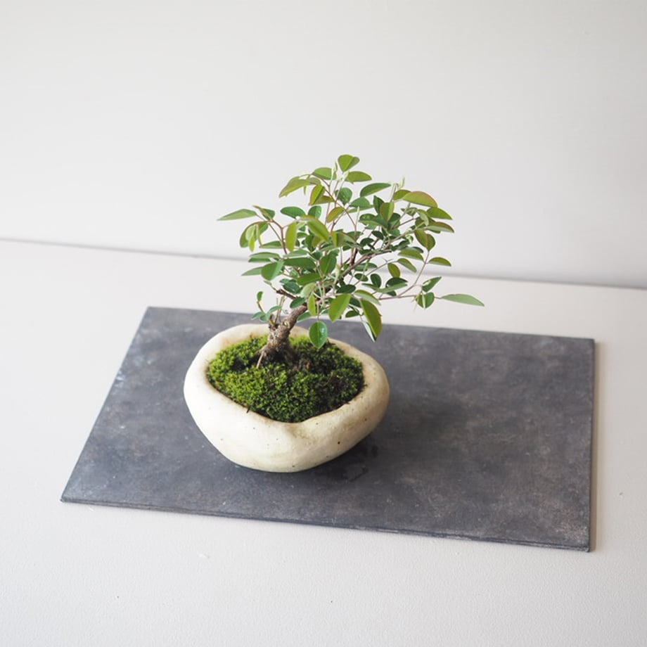 6a17aae8e7d72216f8804a8e