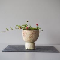 蛇苺　サイズ：Ｗ20cm×Ｈ14cm