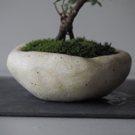 木萩(キハギ)　サイズ：Ｗ15cm×Ｈ16cm