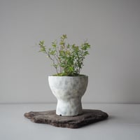雪柳　サイズ：Ｗ14cm×Ｈ20cm