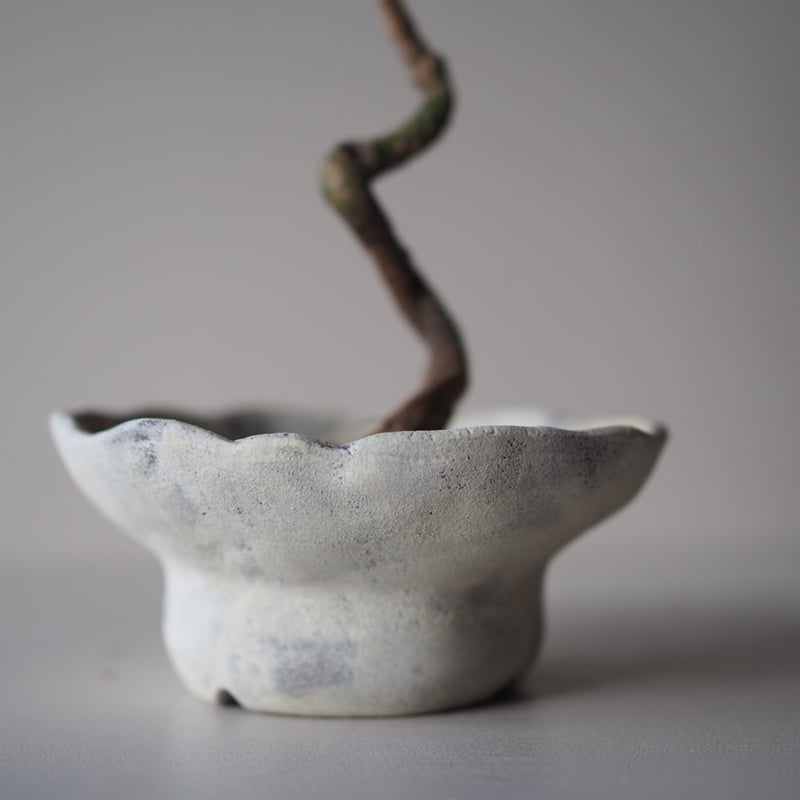 四つ葉 カワサキ「Ninja ZX-4RR」インプレ（2023年）葉月美優がサーキットで