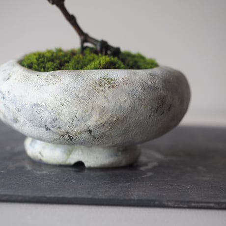 山葡萄(ヤマブドウ)　サイズ：Ｗ10cm×Ｈ15cm