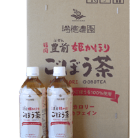 豊前”姫かほり”ごぼう茶 ペットボトル 500ml 24本