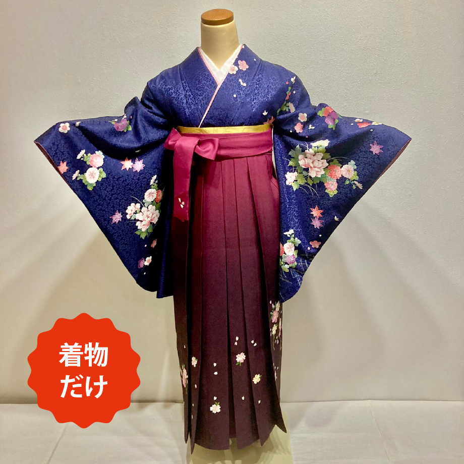 訪問着＊袷着物 笹竹に梅菊 紫 舞台衣装にも♪11HP1