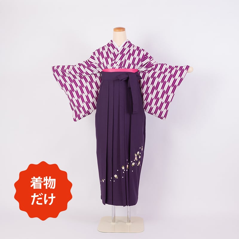 小紋（着物だけ）】N-4 紫 矢絣 | 髪結・レンタル着物 ヘア