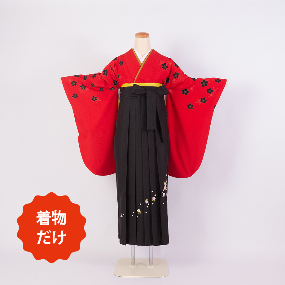 展示品　◇和洋 きものコーデ◇  セット売り　赤×ブラック　ベルト付き fit=scale-down,w=1200