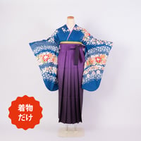【二尺袖　(着物だけ) 】　N-2　ライトブルー 花尽くし
