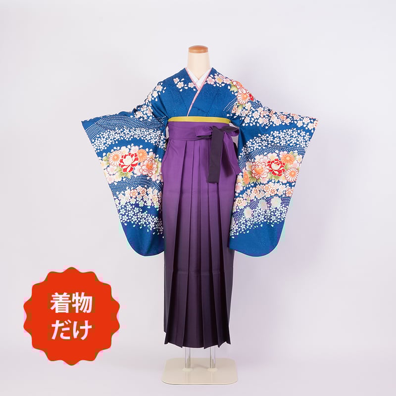 二尺袖 (着物だけ) 】 N-2 ライトブルー 花尽くし | 髪結・レンタル