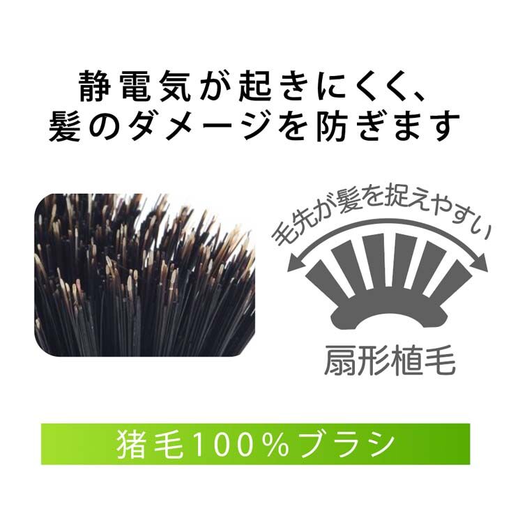 ReFa ホリデーシーズン限定BOX入り　ブラシとコーム 猪毛ブラシL 6行 | Pandora's Beauty Box