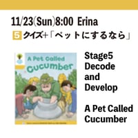 11/23(Sun) 8:00 A Pet Called Cucumber / Stage5 Decode&Develop / Erina