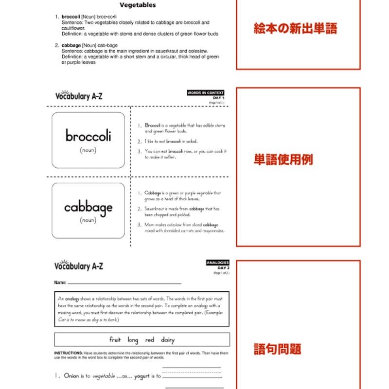 2日以内に発行】【新規】Raz-Plus 申し込み お申し込み〜2026年1