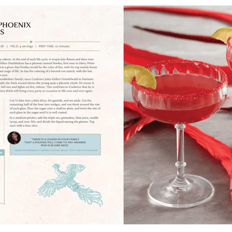 Harry Potter and Fantastic Beasts: Official Wizarding World Cookbook