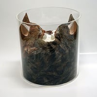 【アイノスーニャ】 キャットカーヴィングという独自の技法で、愛らしい猫を彫りだす、木彫作品