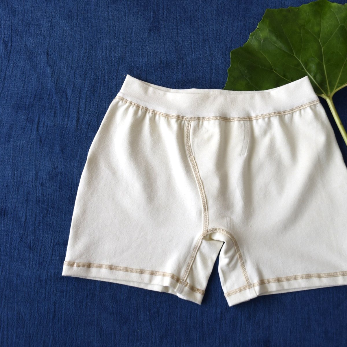 fit=scale-down,w=1200