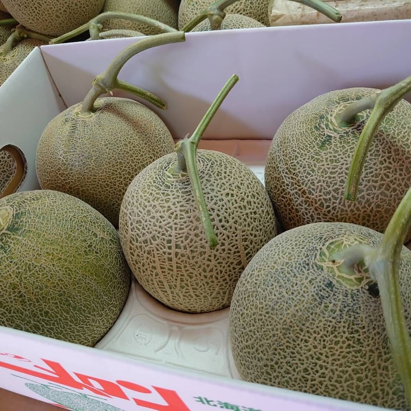 6月下旬〜発送【数量限定！食べやすい小さめサイズ♪】富良野