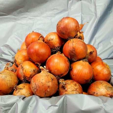 【送料込み】玉ねぎ（M～L大サイズ）10kg
